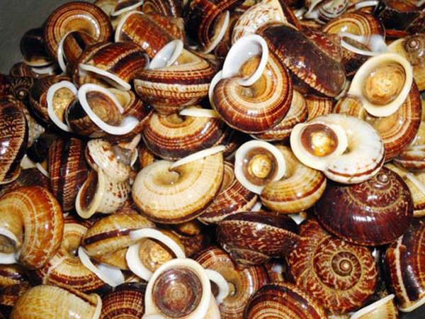 Lên Mộc Châu ngắm hoa ban nở, nếm đặc sản cao nguyên đến amp;#34;quên cả đường vềamp;#34; - 3