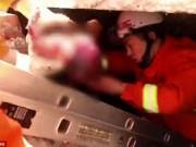 Tin tức - Người mẹ đẻ rơi con trong lúc đi vệ sinh nhưng không hay biết, vẫn tiếp tục đi khám thai