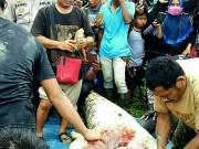 Tin tức - Mổ bụng cá sấu, tá hỏa phát hiện chân tay người bên trong