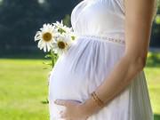 Bà bầu - Mẹ nào mang bầu cũng cần nhớ nên tránh đến những nơi này!