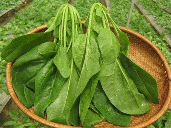 Rước họa vào thân nếu kết hợp đậu phụ với 6 thực phẩm này - 4