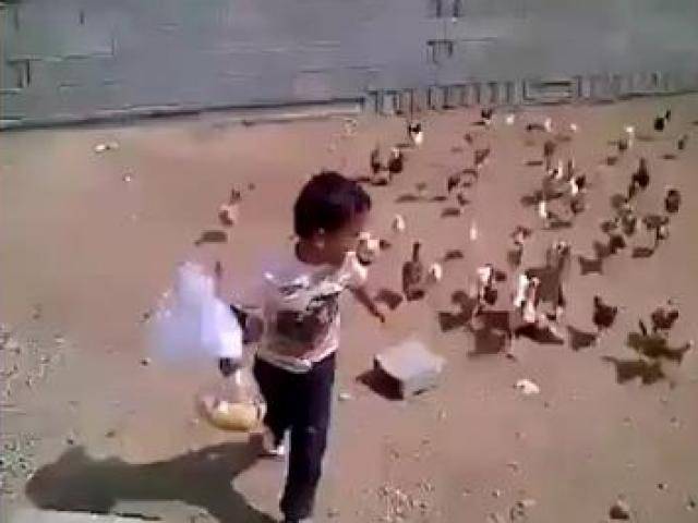 Cười tổng hợp: Những em bé dành cả tuổi thanh xuân để sợ gà