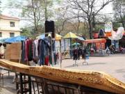 Tin tức - Nắng tưng bừng 33 độ C, người Hà Nội tranh thủ mang cả "gia tài" ra phơi phóng