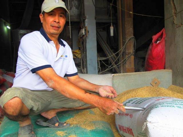 Nhiều người nhận là chủ nhân 3 cây vàng đánh rơi trong bao lúa