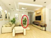 Nhà đẹp - 5 loại cây người nhà giàu không bao giờ bày trong nhà dù đẹp và sang đến đâu