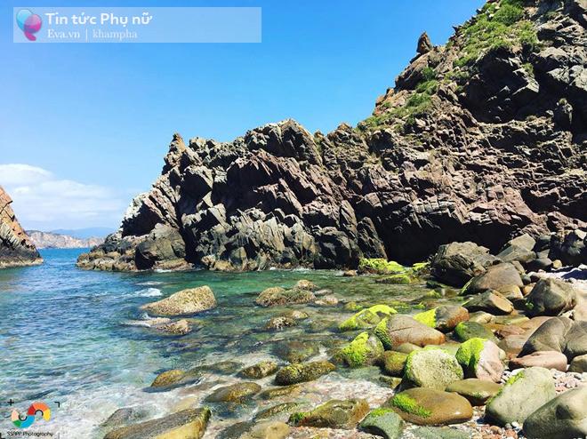 Khám phá Quy Nhơn những ngày đầu tháng tháng 3 - biển xanh nắng nhẹ đẹp vô cùng tận - 1