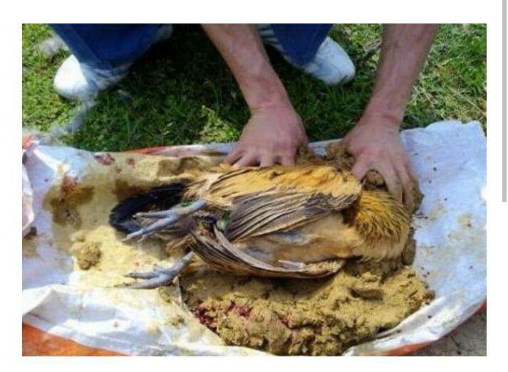 Khóc thét với những món ăn kinh dị nhất TQ, người phàm ăn cũng chẳng dám nuốt - 1