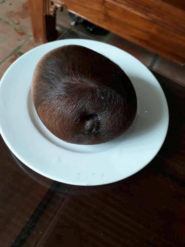 Sinh con xong, bò mẹ đẻ thêm một “vật lạ” to như đầu trẻ sơ sinh - 2