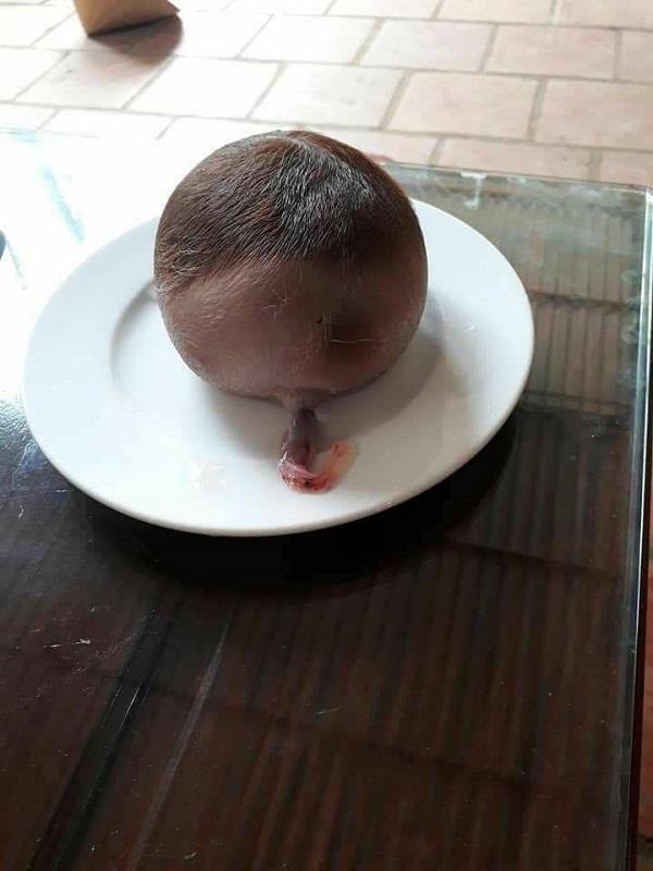 Sinh con xong, bò mẹ đẻ thêm một “vật lạ” to như đầu trẻ sơ sinh - 3