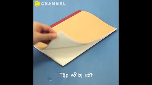 Cách xử lý tài liệu bị ướt cực nhanh mà không phải ai cũng biết