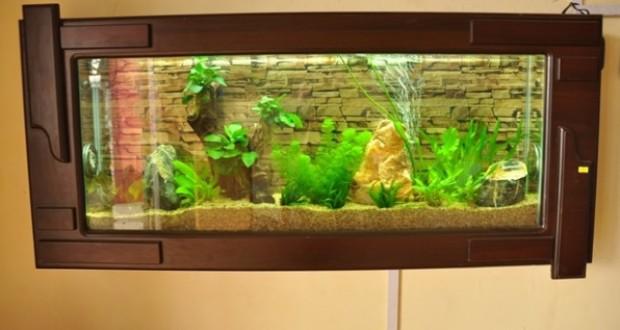 Làm kinh doanh, đặt những thứ này trong nhà, tài lộc, vận may ùn ùn kéo đến - 2