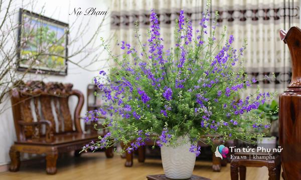8/3: Cắm bình hoa Violet tím amp;#34;thủy chungamp;#34; để gửi lời chúc đẹp nhất đến amp;#34;một nửa thế giớiamp;#34; - 6