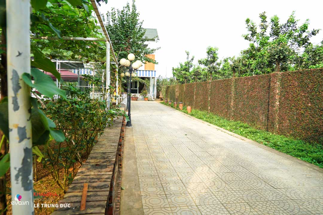 Thăm vườn rau quả gần 1000m² sai trĩu trịt đáng ngưỡng mộ của NSND Thanh Hoa ở ngoại ô - 1