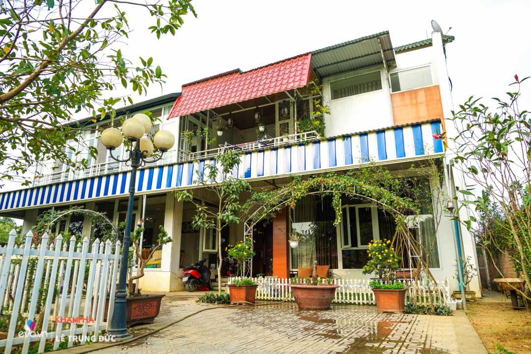 Thăm vườn rau quả gần 1000m² sai trĩu trịt đáng ngưỡng mộ của NSND Thanh Hoa ở ngoại ô - 12