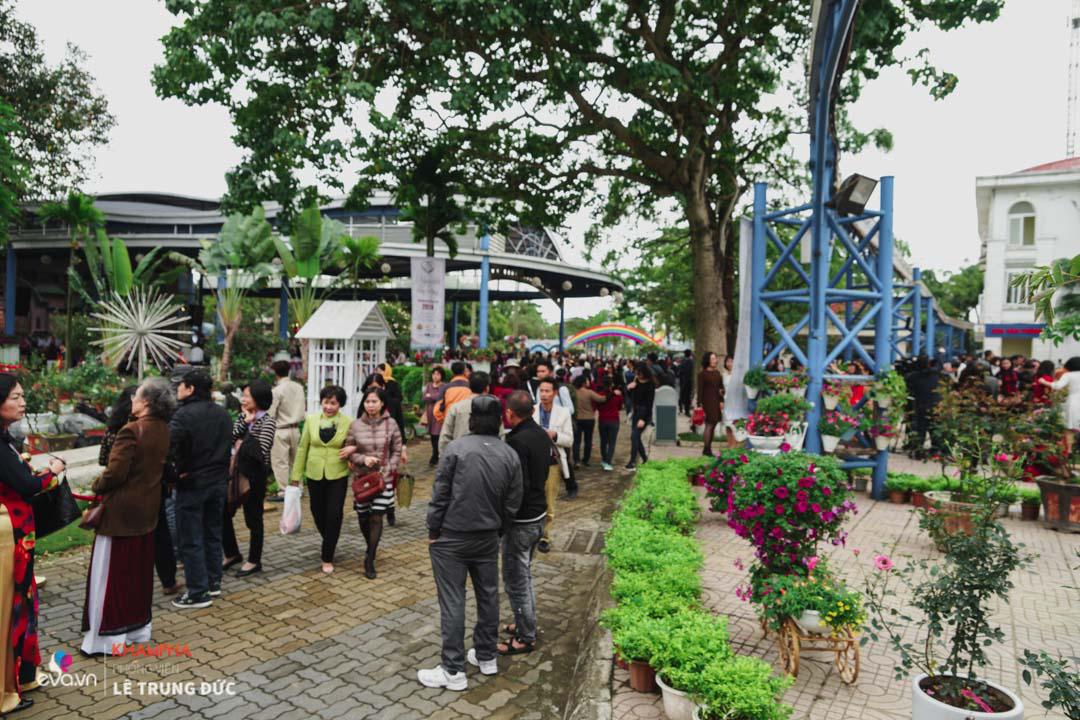 Lễ hội Hoa hồng 2018: Không còn hoa giả nhưng vẫn có nhiều cây hoa trăm triệu héo úa - 8