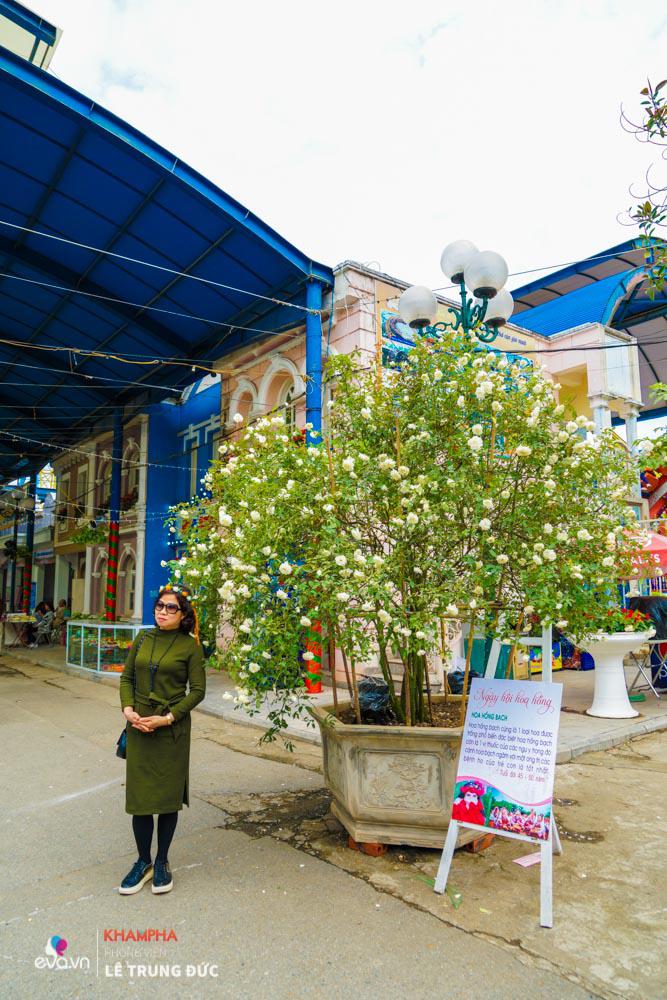 Lễ hội Hoa hồng 2018: Không còn hoa giả nhưng vẫn có nhiều cây hoa trăm triệu héo úa - 5