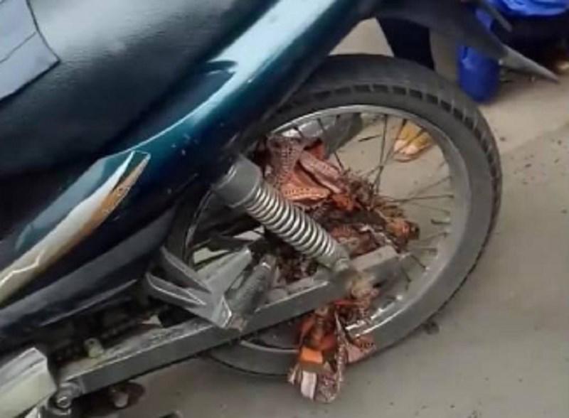 Bà bầu bật khóc vì bị tài xế Grab bắt đền 700.000 đồng trong ngày 8/3 - 2