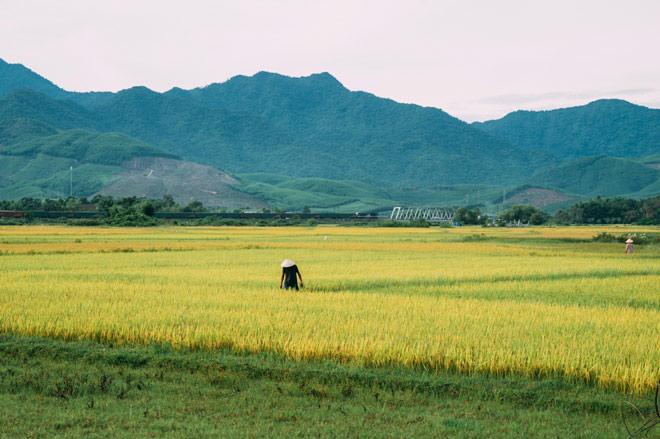 Đắm say trước vẻ đẹp của Lăng Cô – một trong các hòn vịnh xinh đẹp thế giới - 1