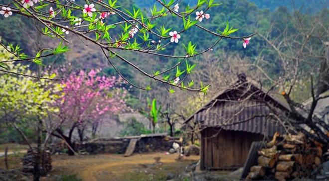Đừng lỡ hẹn với Sapa mùa hoa đào nở rộ trong tháng 3 này - 7