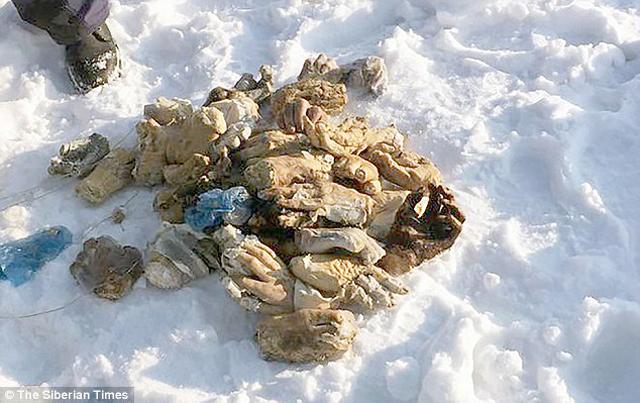 Sự thật về 54 bàn tay người trong chiếc túi bí ẩn ở Nga - 4