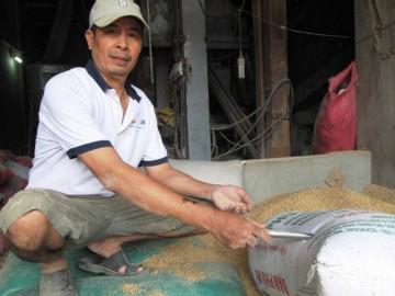 Đống vàng quên trong bao lúa: Người nhặt “xin” vàng… đi mua tủ lạnh