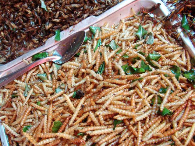 Những món ăn kinh dị nhìn đã phát sợ tại Châu Phi