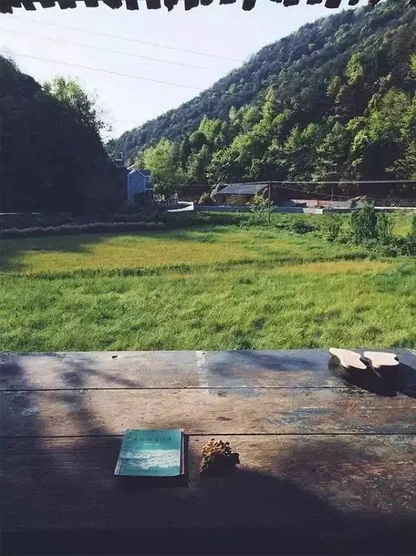 vo chong 8x bo pho ve nui lam gom trong rau, sua nha cu, song binh yen dang nguong mo - 7