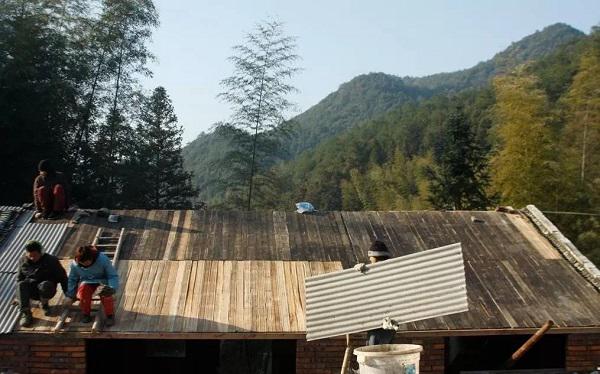 vo chong 8x bo pho ve nui lam gom trong rau, sua nha cu, song binh yen dang nguong mo - 3