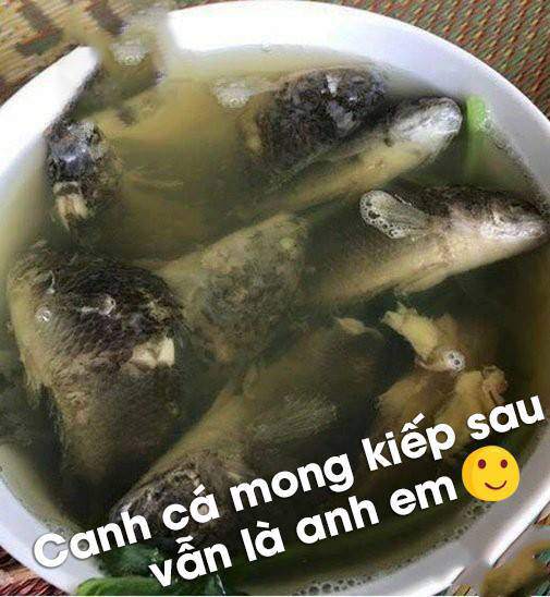 Tác phẩm thảm họa của những cô nàng không nên sống chung với mẹ chồng - 1