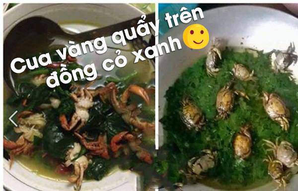 Tác phẩm thảm họa của những cô nàng không nên sống chung với mẹ chồng - 4