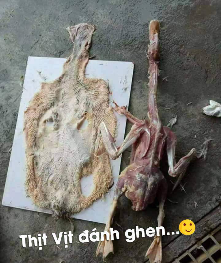 Tác phẩm thảm họa của những cô nàng không nên sống chung với mẹ chồng - 10