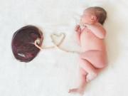 Bà bầu - Các mẹ xôn xao chuyện ăn nhau thai giàu dinh dưỡng, bác sĩ "tuýt còi" ngay lập tức!