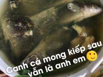 Tác phẩm thảm họa của những cô nàng không nên sống chung với mẹ chồng