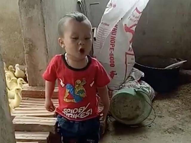 Không nhặt được mồm với màn đối thoại cùng chó của cậu bé 3 tuổi