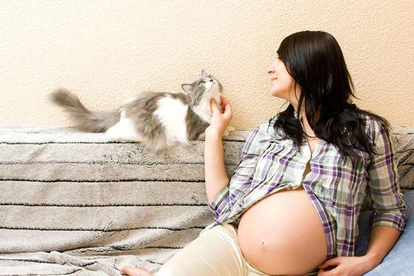 8 quan niệm kiêng kị khi bầu bí amp;#34;tưởng đùa nhưng lại hóa thậtamp;#34; - 1