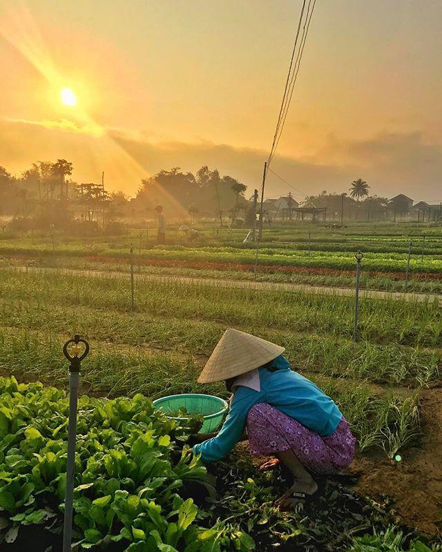 Hội An không chỉ có phố cổ và lồng đèn, bạn đã khám phá hết chưa? - 3