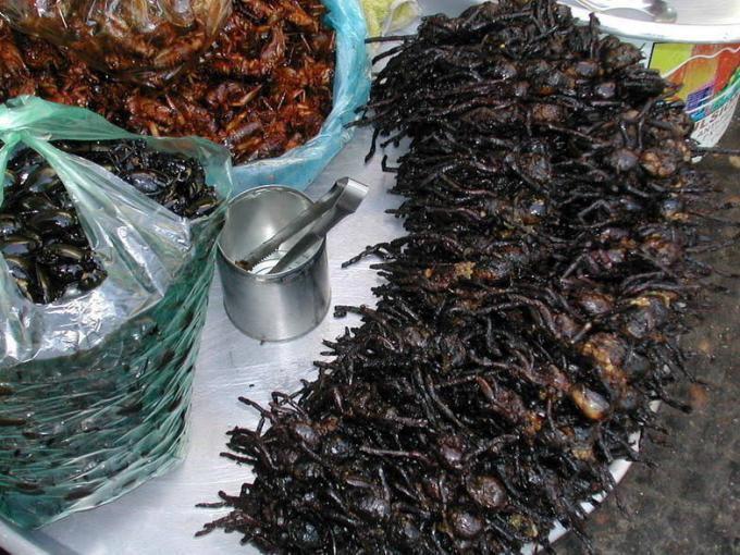 Top 10 món kinh dị trên Thế giới không phải ai cũng đủ dũng cảm để ăn - 9