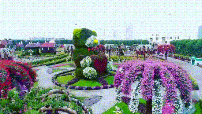 Sửng sốt trước độ choáng ngợp của vườn hoa tự nhiên khổng lồ đẹp nhất thế giới ở Dubai - 6