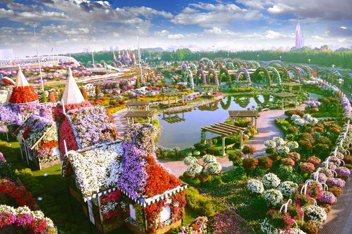 Sửng sốt trước độ choáng ngợp của vườn hoa tự nhiên khổng lồ đẹp nhất thế giới ở Dubai - 3