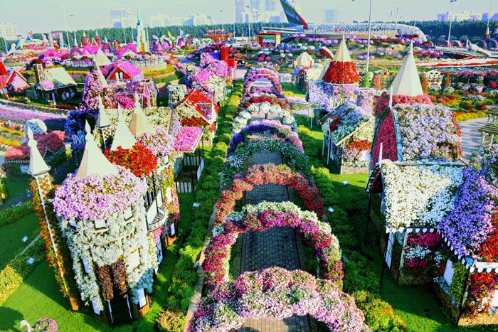 Sửng sốt trước độ choáng ngợp của vườn hoa tự nhiên khổng lồ đẹp nhất thế giới ở Dubai - 5
