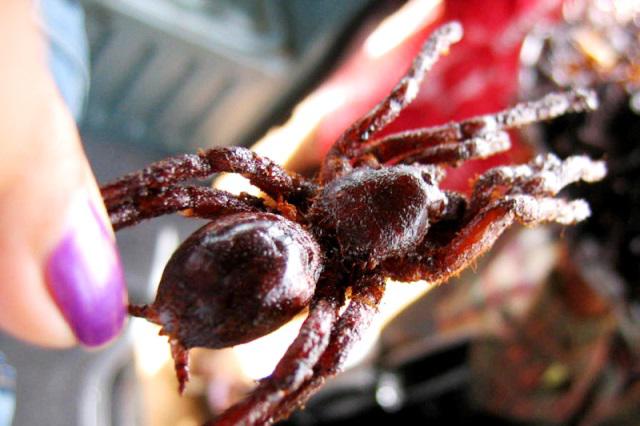 Top 10 món kinh dị trên Thế giới không phải ai cũng đủ dũng cảm để ăn - 10