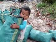 Tin tức - Cậu bé chưa đầy 5 tuổi lao động nặng nhọc phụ giúp gia đình khiến hàng triệu người bật khóc