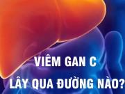 Sức khỏe - Viêm gan C lây qua đường nào?
