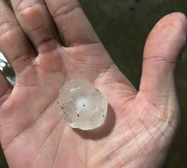 Sơn La: Xôn xao cơn mưa đá amp;#39;trắng trờiamp;#39; to nhất 10 năm trở lại ở Nông Trường, Mộc Châu - 3