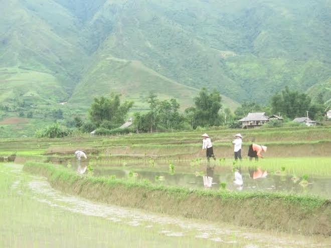 Khám phá Lai Châu qua 7 địa danh đẹp, độc, lạ đến nao lòng - 4