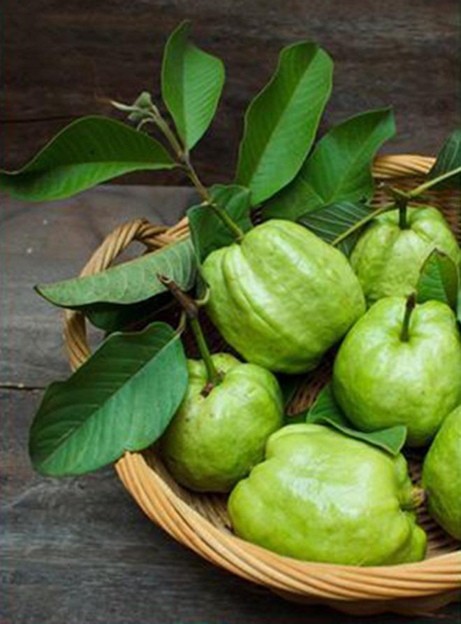 Hôi miệng lâu năm cũng thơm tho tức thì chỉ với 1 nắm lá mua tại chợ này! - 1