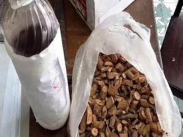 3 người trong gia đình tử vong vì ngộ độc rượu: Rượu được ngâm từ lá ngón