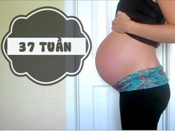 Thai nhi 37 tuần: Bé đã có phân su