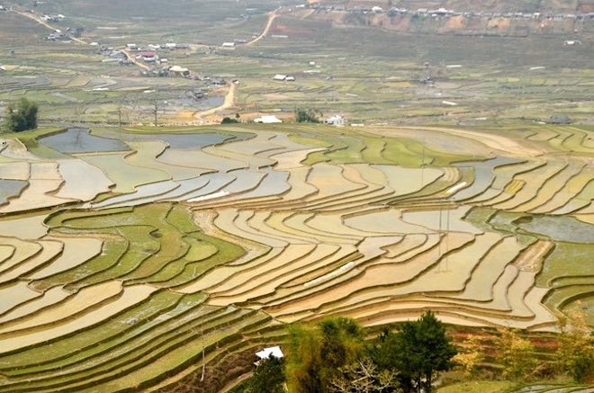 Lạc lối trước những điểm du lịch đẹp như tranh ở Yên Bái - 6