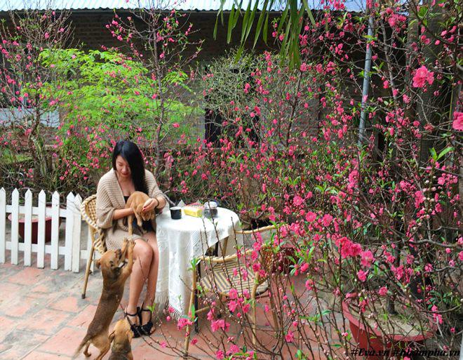 chon di ve binh yen ngap tran hoa trai ai cung mo cua nguoi phu nu ha noi da tai - 1